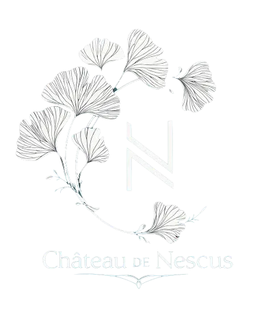 Château de Nescus